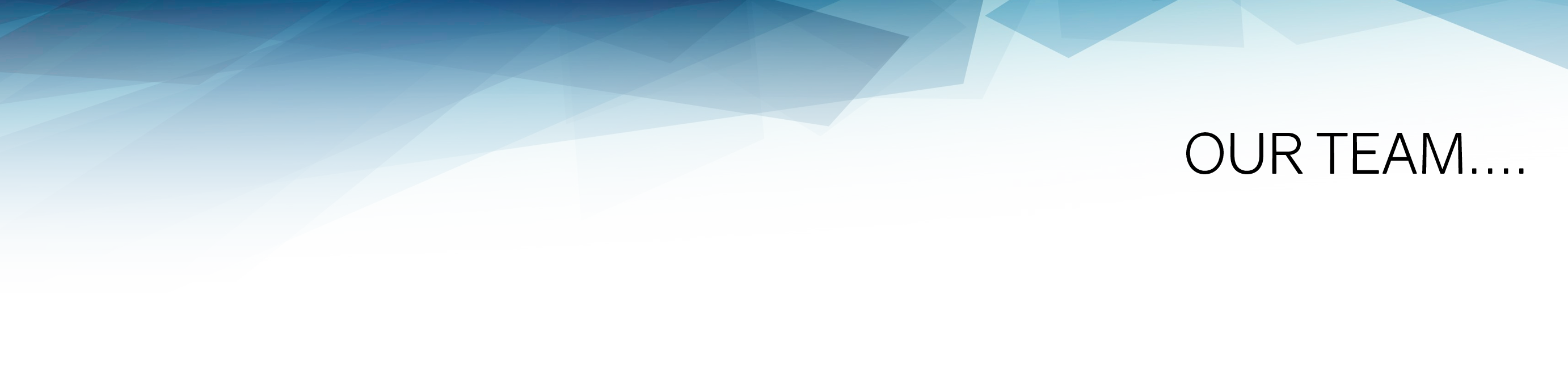 BLUESTONE OUR TEAM 150