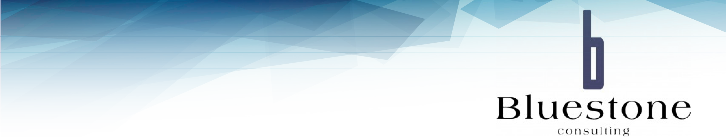 BLUESTONE WEB BANNER 150 BLUESTONE WEB BANNER 150