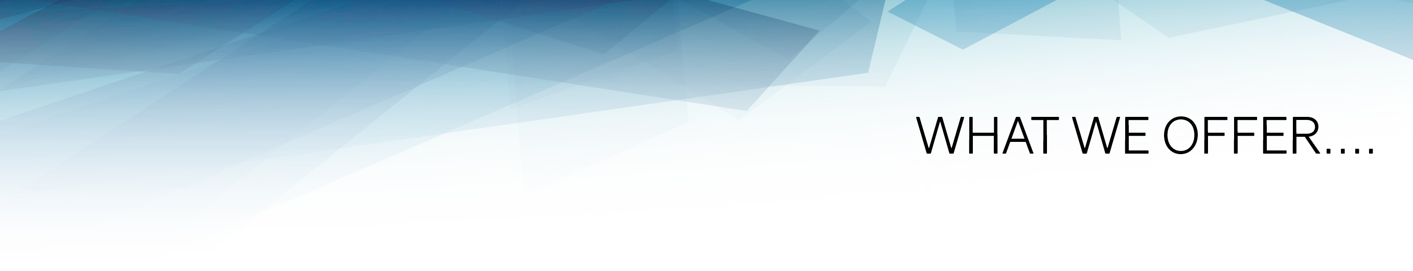 BLUESTONE WHAT WE OFFER 150